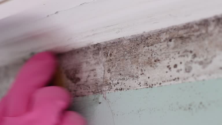 Best Dehumidification Services  in Carlton, OR